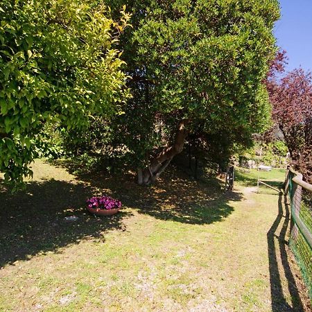 Appartamento Fattorialmare Viola Camogli Esterno foto