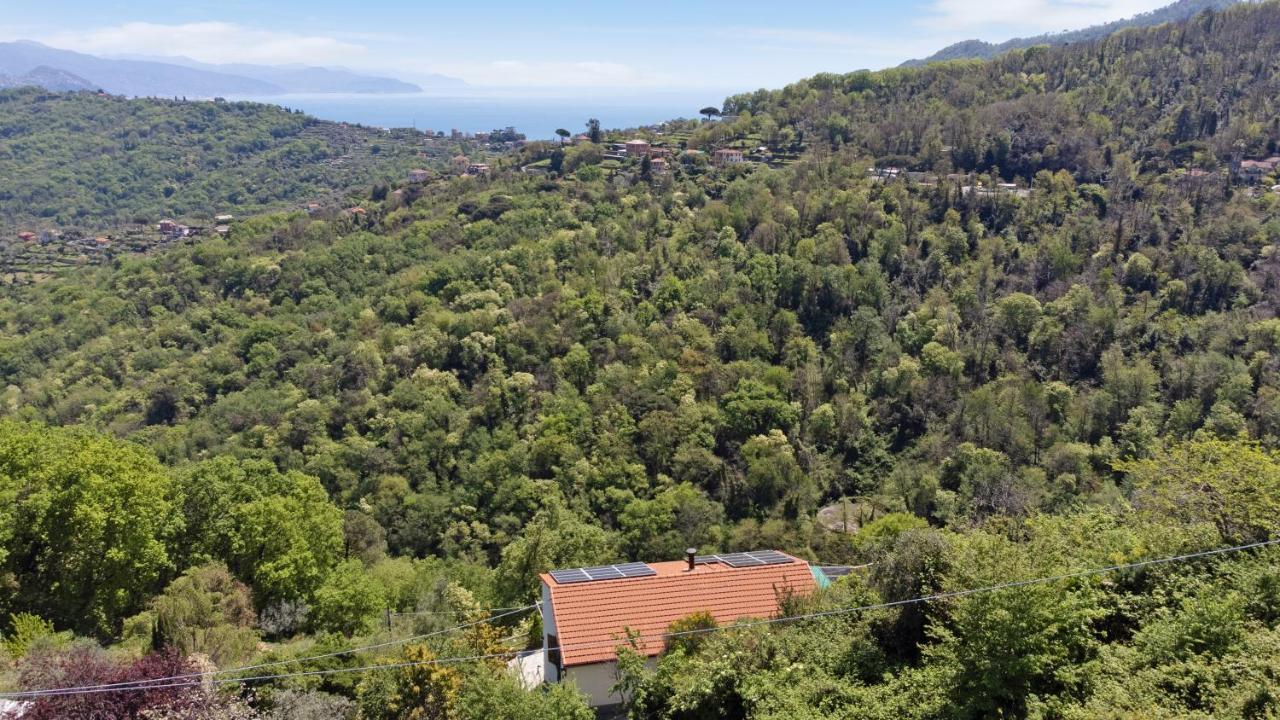 Appartamento Fattorialmare Viola Camogli Esterno foto