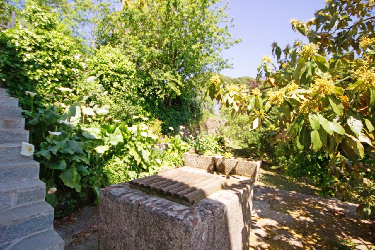 Appartamento Fattorialmare Viola Camogli Esterno foto